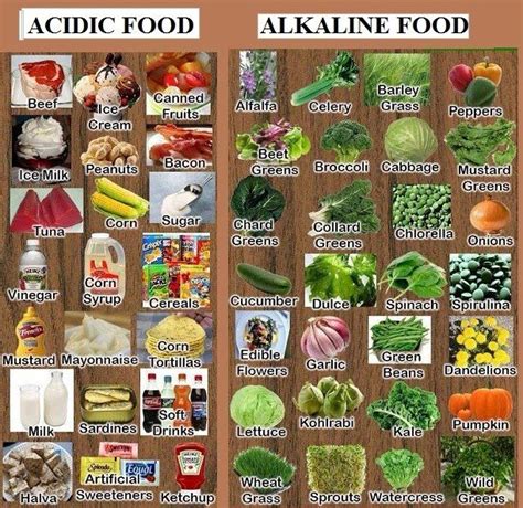 alkaline-diet.info | Alkaline foods, Alkaline diet recipes, Alkaline ...