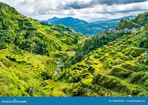 Banaue Rice Terraces - Northern Luzon, UNESCO World Heritage in ...