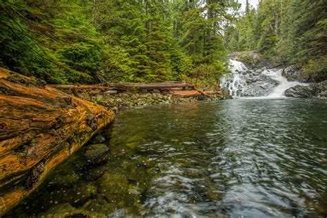 canada, Waterfalls, Rivers, Forests, Vancouver, Island, Fletcher, Falls ...