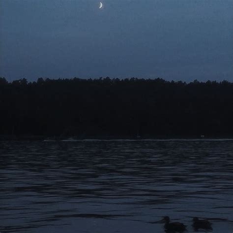 lake at night aesthetic | Night aesthetic, Dark forest aesthetic, Night ...