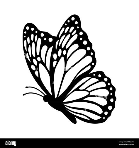 Monarch butterfly silhouette, side view. Vector illustration isolated ...