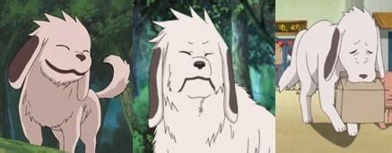 Seeing Akamaru Age Makes Me Feel Some Type Of Way : r/Boruto