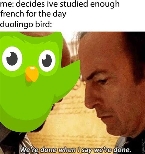 30 Duolingo Memes So Funny They Will Make You Pee