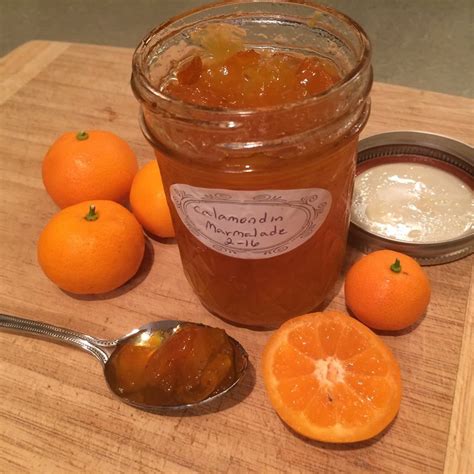 Calamondin Recipes Jams | Dandk Organizer