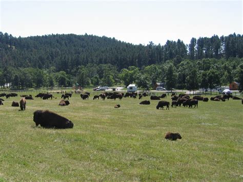 Busters Travels: Sturgis, South Dakota - Sturgis RV Park