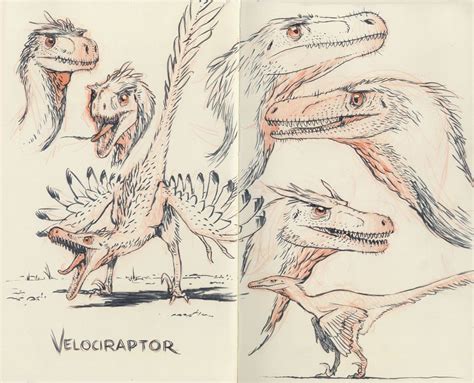 Velociraptor 02 | Ilustração de dinossauro, Arte com tema de dinossauro ...