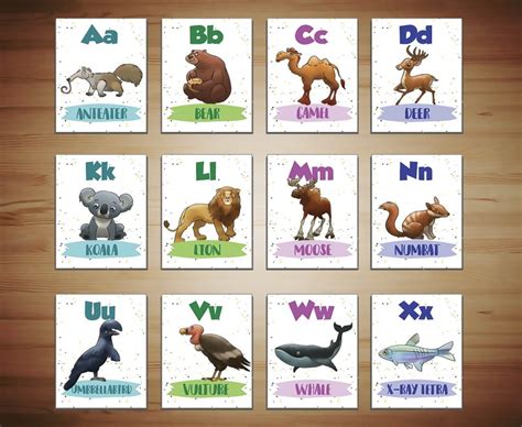 Animal Alphabet Flashcards - Tom Hyde