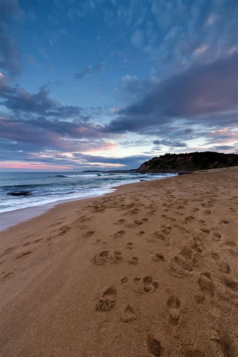 Brown sand with foot steps in day light, warriewood beach HD wallpaper ...