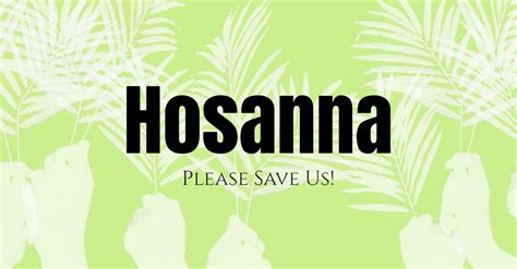 What is the Meaning of "Hosanna" in the Bible?