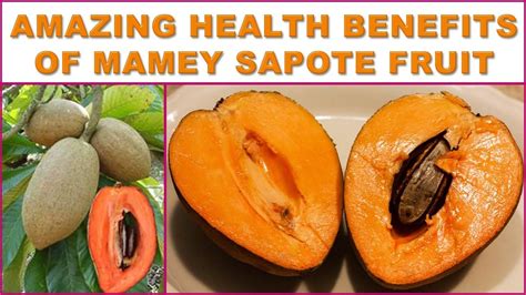 Sapote Fruit Benefits - health benefits