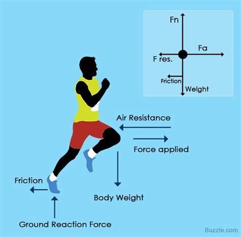 An Easy Guide to Understand Free Body Diagrams in Physics | Body ...