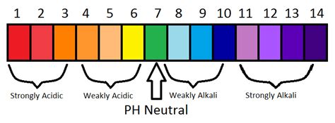 pH Scale - Acids and Bases