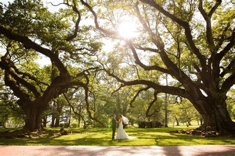 Oak Alley Plantation Weddings & Photography | Eye Wander Photo