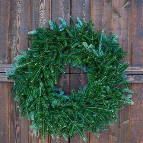 Fraser Fir Christmas Wreath | App Evergreens