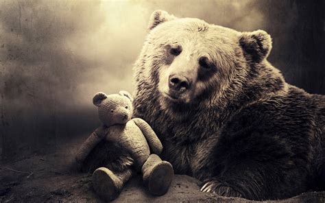 [43+] Black Bear HD Wallpapers | WallpaperSafari