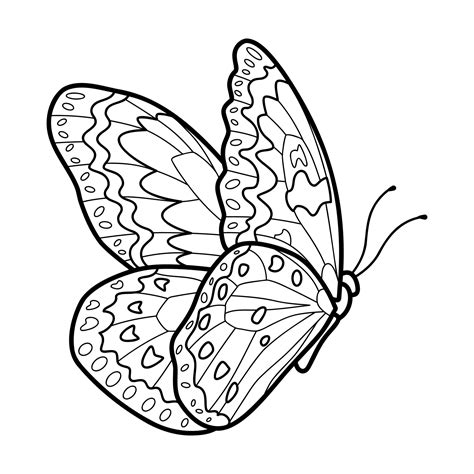 Coloring book or page for kids. Butterfly black and white vector ...