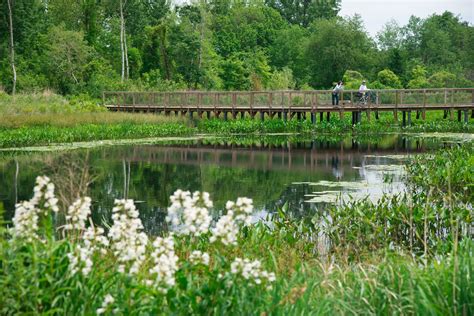 Alewife Brook Reservation bridge Reserved, Bridge, Education, Bridge ...