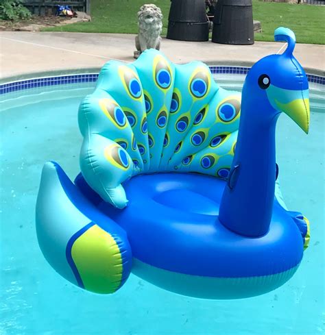 Fun Swimming Pool Floats - From Reclining To Spring Floats | Pool ...