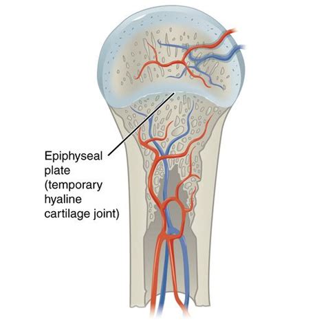 Joint Classification - Physiopedia