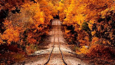 Take A Colorful Train Tour This Fall | Michigan