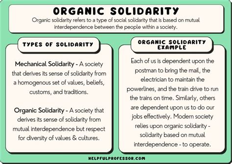 Organic Solidarity: 10 Examples & Definition (2024)