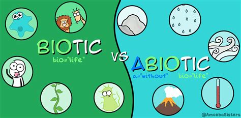 Biotic vs. Abiotic Factors I Biology I The Amoeba Sisters | Abiotic ...