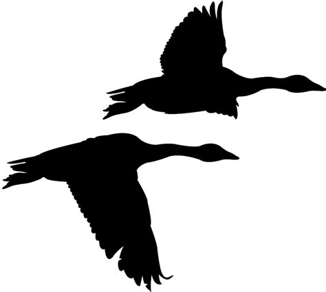 Flying Geese Silhouette | Free vector silhouettes