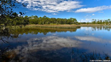 Timucuan Ecological and Historic Preserve | PARK AT A GLANCE