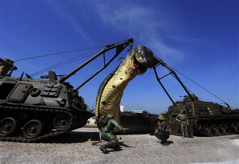 Amazingly, the 20-foot-long world's largest snake was сарtᴜгed, making ...