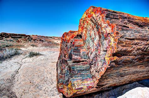 Petrified Forest National Park: The Complete Guide for 2023 (with Images)