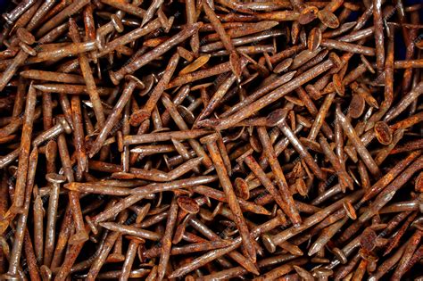 Premium Photo | Rusty nail Many rusted nails Group of Iron rust Metal ...