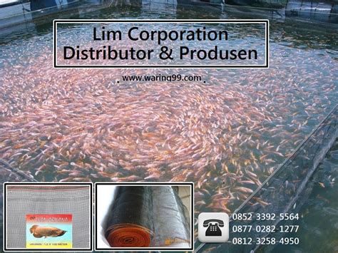 Pabrik Dan DIstributor Waring Ikan : Berikut Ialah Beberapa Kegunaan ...