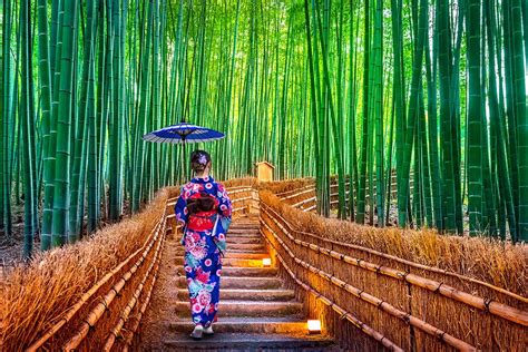 Discover Kyoto’s Arashiyama Bamboo Forest - JAPAN AIRLINES (JAL)