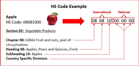 What is HS Code? | Blog | GCE Logistics