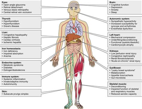 Systemic Consequences of Pulmonary Hypertension and Right-Sided Heart ...