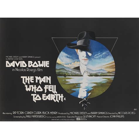 Vic Fair Vintage The Man Who Fell To Earth David Bowie Movie Poster ...