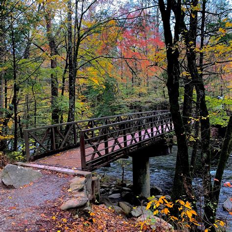 Easy Trails and Walks in the Smoky Mountains