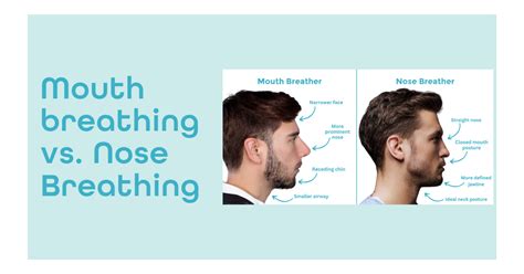 Mouth Breather vs. Nose Breathing | Diagram by Dryft Sleep | Dryft Sleep