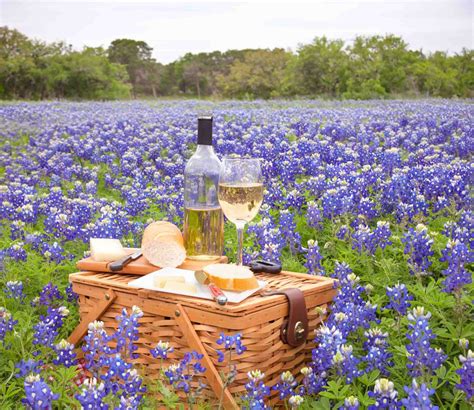 11 Wineries in Fredericksburg TX (Plus Map!) - Roaming the USA