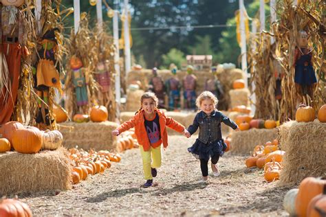 10 Pumpkin Patches in Central Arkansas to Visit this Fall | Little Rock ...