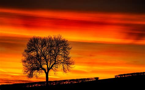 sunset, Tree, Landscape, Sky