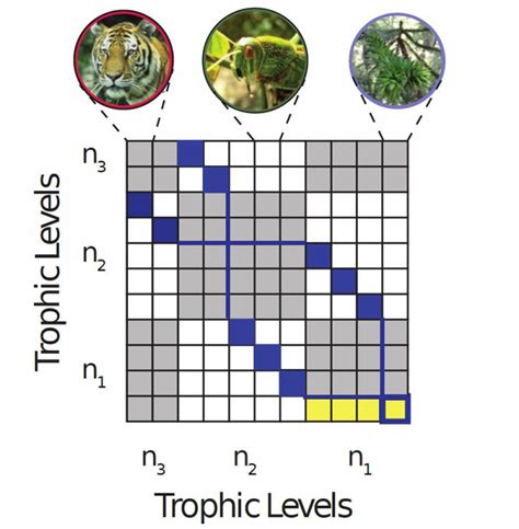 Diversity of nature formulated