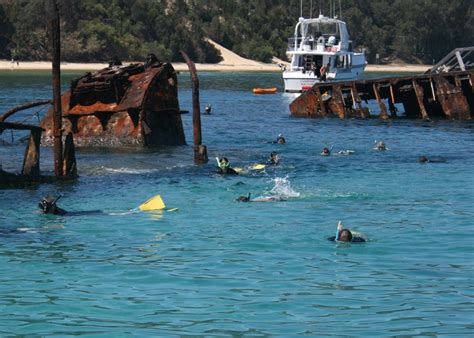 snorkeling on the wrecks at Moreton island. Qld. Australia | Snorkeling ...