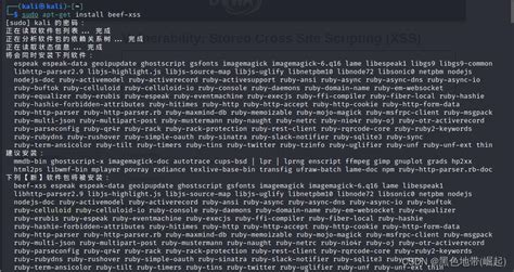 Linux自动化简单安装beef xss framework的方法及BeEF的启动_beef安装-CSDN博客