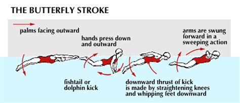 Learn To Swim : Butterfly Stroke