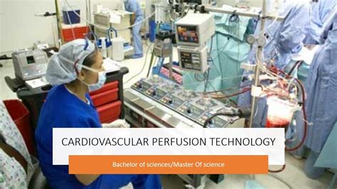 Cardiovascular Perfusion Technology/Bachelor's/Master's/Cardiovascular ...