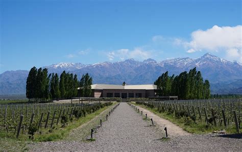 Mendoza FULL EXPERIENCE! Mountains, Wine Region and Adventure Sports in ...