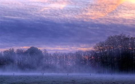 wallpapers: Early Morning Fog Wallpapers