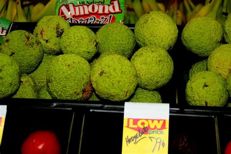 hedge balls | Flickr - Photo Sharing!