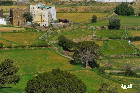 IN PICTURES: Saudi Arabia’s Asir region houses terraced farm fields ...